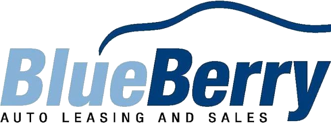 BlueBerry Leasing and Sales logo